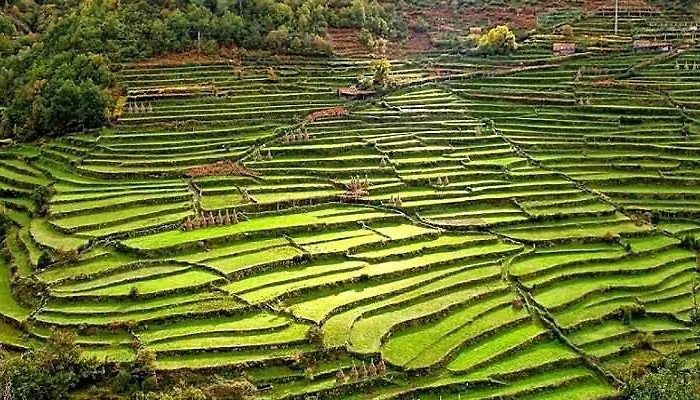 דירה Ferias De Sonho